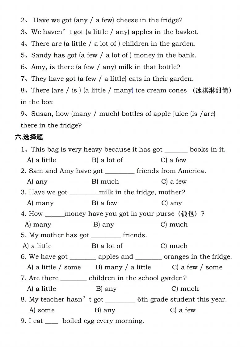 六年级下册人教PEP英语重点语法突破专项训（二）数量词填空