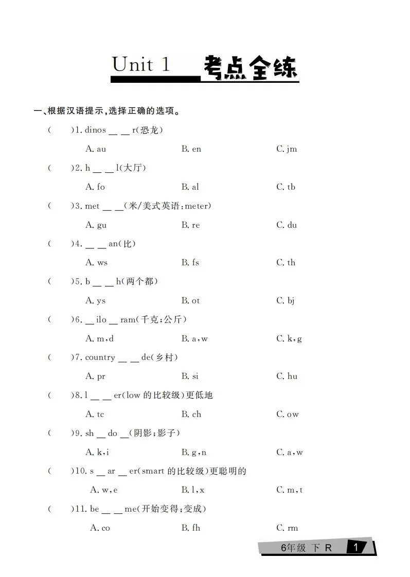 六下英语复习《考点全练》人教PEP版-大象资料网